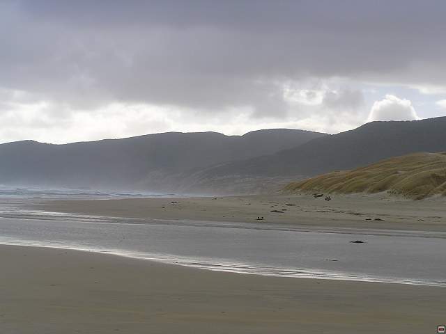Steward Island 022.jpg